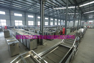 新一代雞翅與雞脯肉上糠設備的維護與常見計算機故障排除